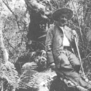 Forêt Plaine des Palmistes