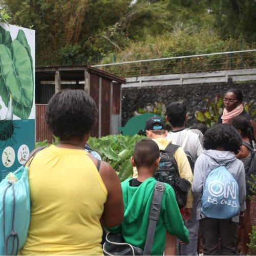 Visites pédagogiques du Domaine des Tourelles