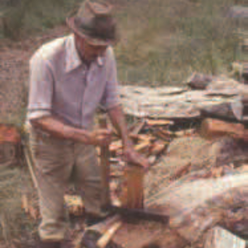 Parcours patrimoine Plaine des Palmistes