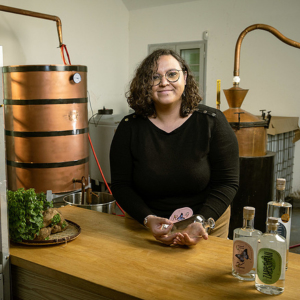 Distillerie Plaine des Palmistes Domaine des Tourelles