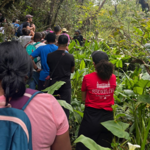 Comité d'entreprise Domaine des Tourelles