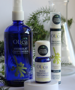 plantes aromatiques et médicinales et produit des huiles essentielles Réunion