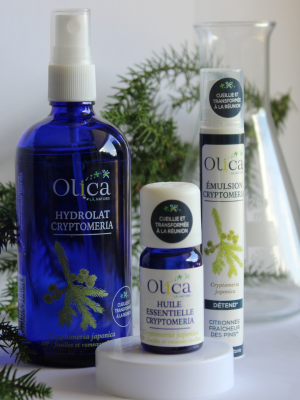 plantes aromatiques et médicinales et produit des huiles essentielles Réunion