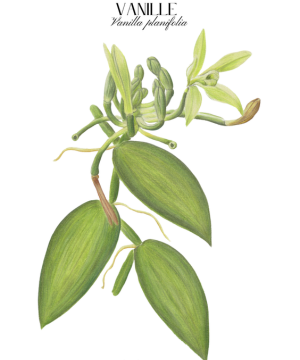 Annuaire artisans Réunion