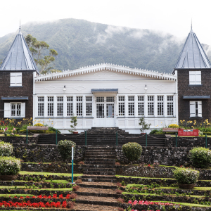 Domaine des Tourelles Plaine des Palmistes