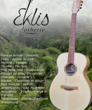 Lutherie guitare Réunion