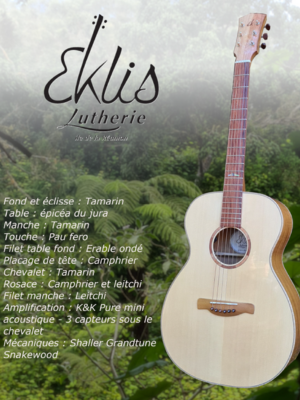 Lutherie guitare Réunion