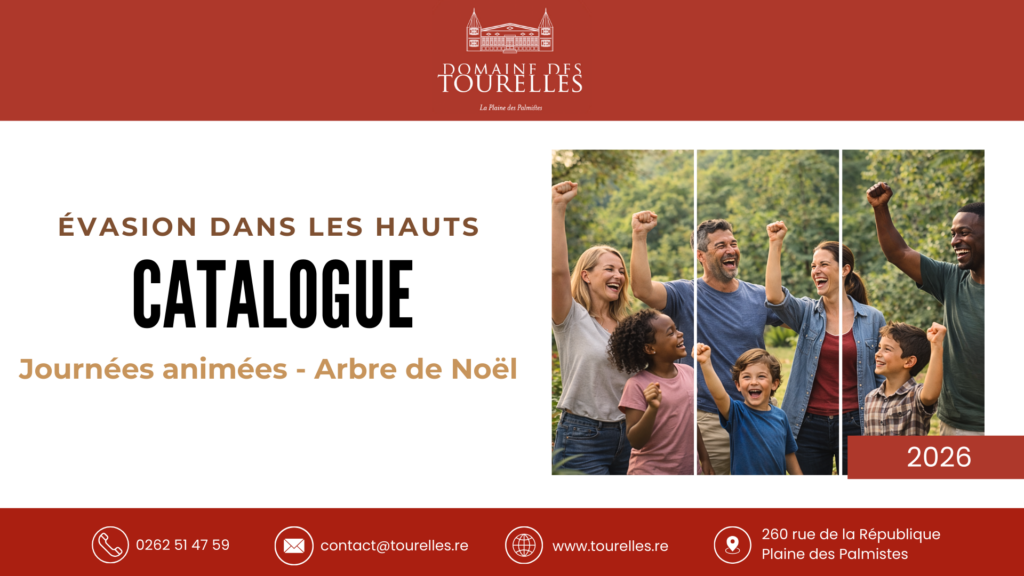 Journées animées - Arbre de Noël CSE 2026